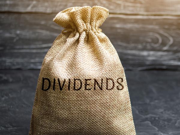 a brown sack with the word 'DIVIDENDS' printed on it