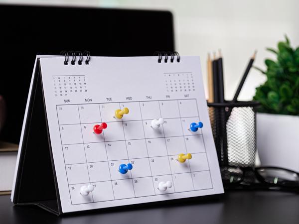 a desk calendar with coloured pins in certain dates. 