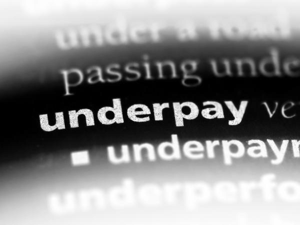 A highlighted word in the dictionary. The word highlighted is 'UNDERPAY', the word underneath this one is 'UNDERPAYMENT'. Showing as white text on a black background. 