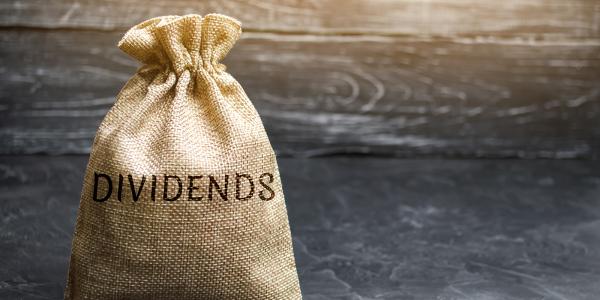 a brown sack with the word 'DIVIDENDS' printed on it