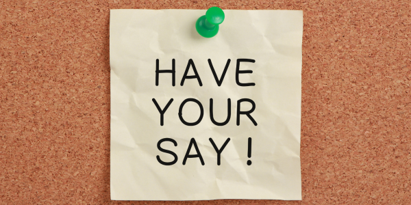Pin board with a piece of paper attached by a green pin, on the paper the words 'HAVE YOUR SAY!' can be seen in black text. 