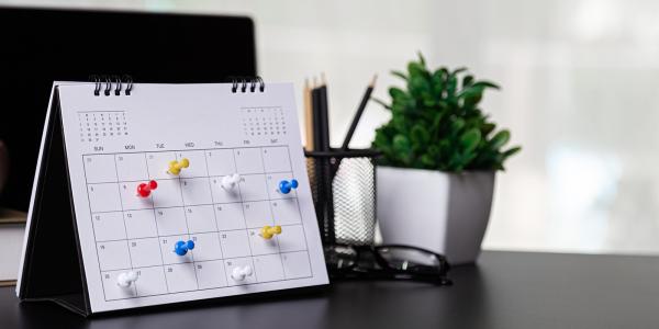 a desk calendar with coloured pins in certain dates. 
