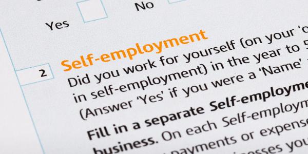 Part of an official form showing section 2 'SELF-EMPLOYMENT'.