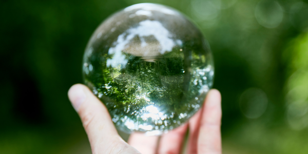 A person holding a glass ball that reflects an i mage of woods with a walk way through the middle.