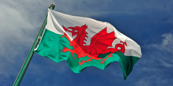 Welsh flag blowing in the wind. 